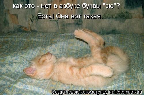 http://dlyakota.ru/uploads/posts/2009-10/1254513425_369109.jpg