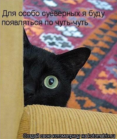 http://dlyakota.ru/uploads/posts/2009-11/1258653952_403349.jpg