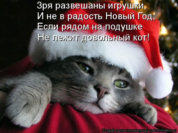 http://dlyakota.ru/uploads/posts/2010-12/1293547797_777664.jpg