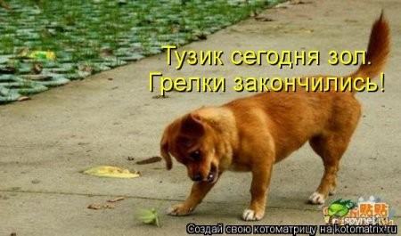 http://dlyakota.ru/uploads/posts/2011-02/thumbs/1297796428_823206.jpg