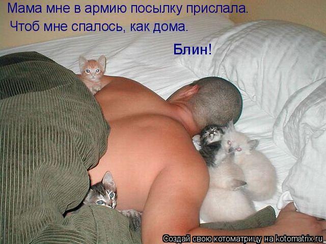 http://dlyakota.ru/uploads/posts/2011-05/1305738408_909618.jpg