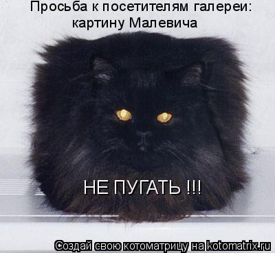 http://dlyakota.ru/uploads/posts/2011-06/1306989990_919420.jpg