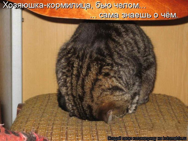 http://dlyakota.ru/uploads/posts/2011-07/1309734584_896362.jpg