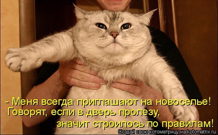 http://dlyakota.ru/uploads/posts/2011-08/1314014439_973516.jpg