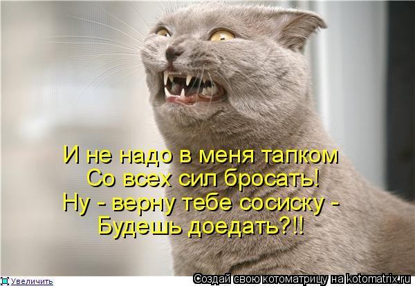 http://dlyakota.ru/uploads/posts/2011-10/1318367674_971530.jpg